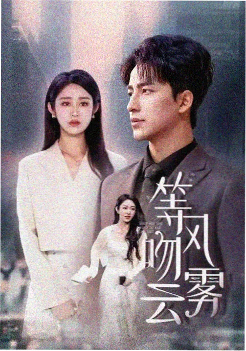 青瓦台秘书室 韩国政治剧在线观看