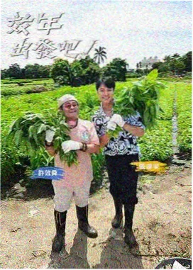 三时三餐的厨房 韩国生活综艺